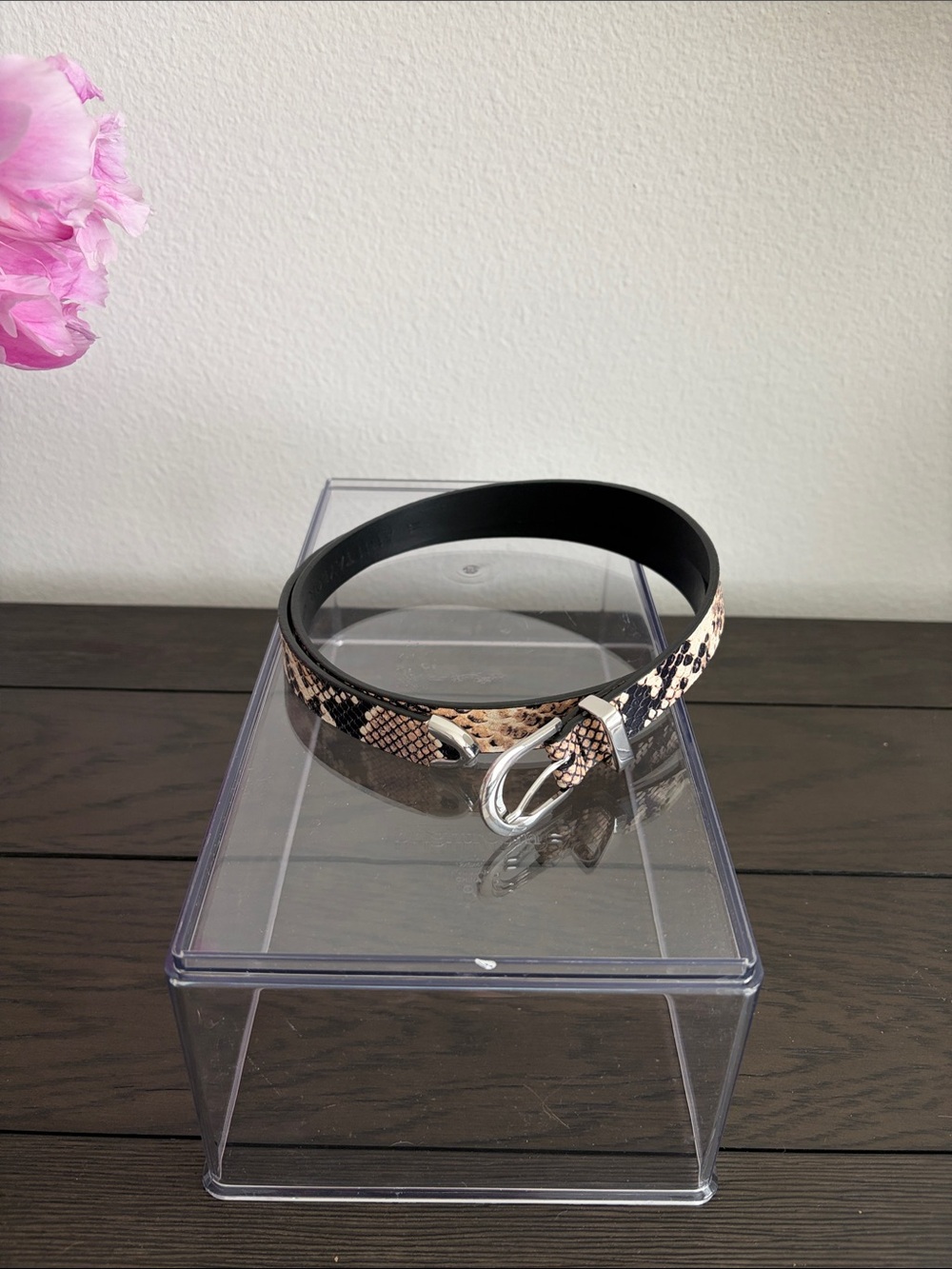 Ann Taylor Snakeskin-Print Belt with Silver Buckle - Black & Beige